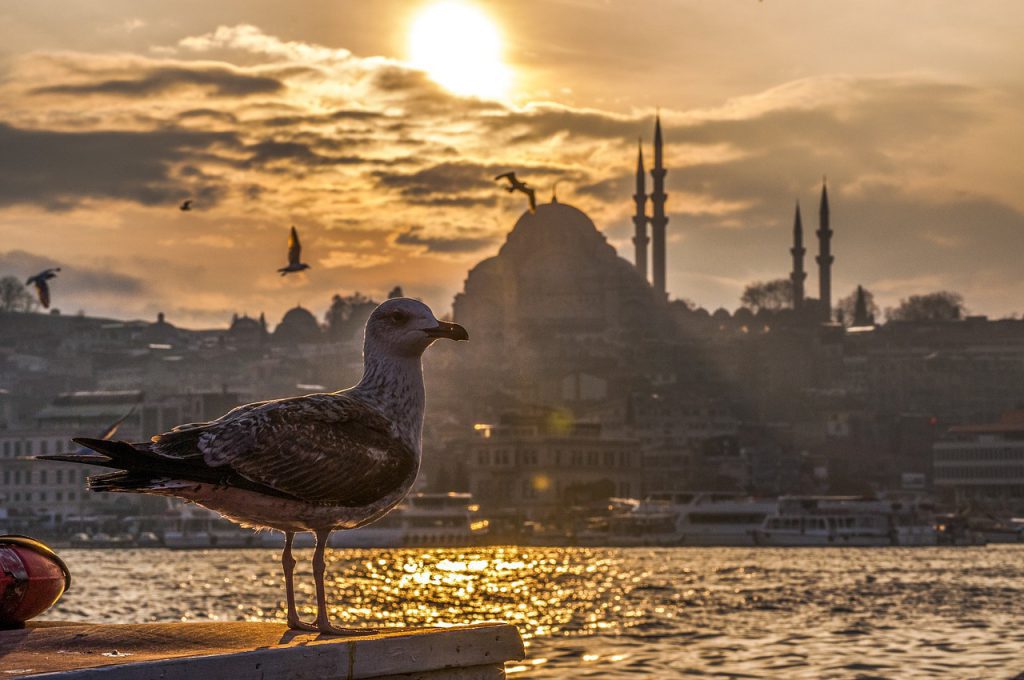 Podróż po Turcji